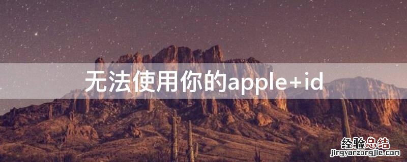无法使用你的apple id