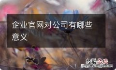 企业官网对公司有哪些意义