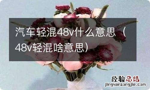 48v轻混啥意思 汽车轻混48v什么意思