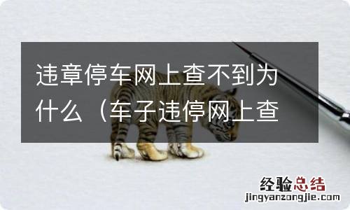 车子违停网上查不到 违章停车网上查不到为什么
