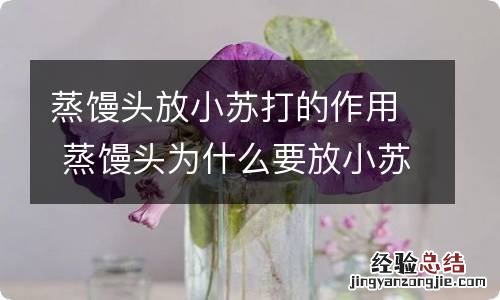 蒸馒头放小苏打的作用 蒸馒头为什么要放小苏打