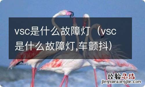 vsc是什么故障灯,车颤抖 vsc是什么故障灯