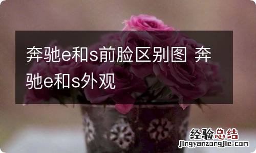 奔驰e和s前脸区别图 奔驰e和s外观