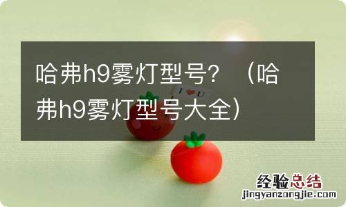 哈弗h9雾灯型号大全 哈弗h9雾灯型号？