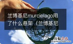 兰博基尼悬架系统图解 兰博基尼murcielago用了什么悬架