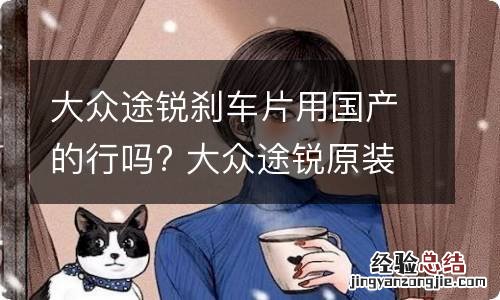 大众途锐刹车片用国产的行吗? 大众途锐原装用的什么刹车片