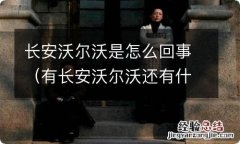 有长安沃尔沃还有什么沃尔沃 长安沃尔沃是怎么回事