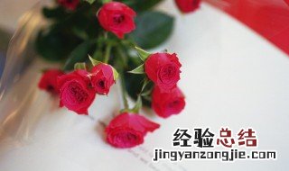 沙漠玫瑰叶子上有黑点是啥病 沙漠玫瑰叶子有黑斑怎么回事