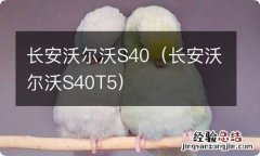 长安沃尔沃S40T5 长安沃尔沃S40