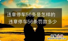 违章停车56条是怎样的 违章停车56条罚款多少