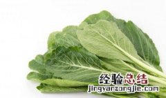 水种芥菜种植方法 水种芥菜种植方法图解