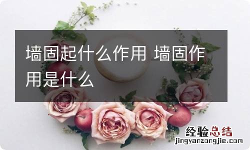 墙固起什么作用 墙固作用是什么