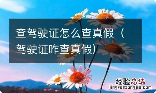 驾驶证咋查真假 查驾驶证怎么查真假