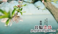 清明节问候语集锦 清明节问候