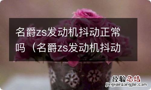 名爵zs发动机抖动正常吗 名爵zs发动机抖动正常吗