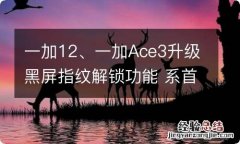 一加12、一加Ace3升级黑屏指纹解锁功能 系首批推送