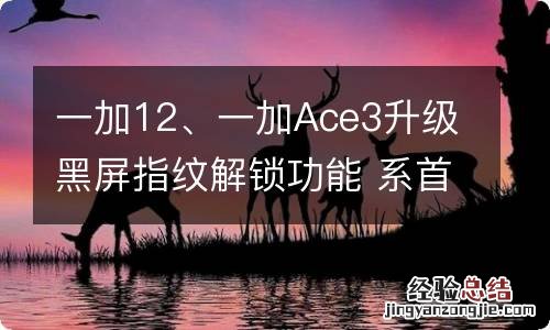 一加12、一加Ace3升级黑屏指纹解锁功能 系首批推送