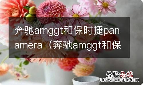 奔驰amggt和保时捷911 奔驰amggt和保时捷panamera