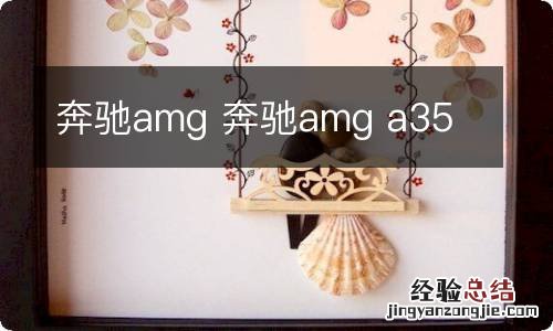 奔驰amg 奔驰amg a35