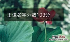 王谦名字分数103分