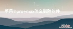 iPhone11pro max怎么删除软件