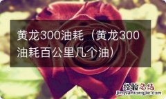 黄龙300油耗百公里几个油 黄龙300油耗