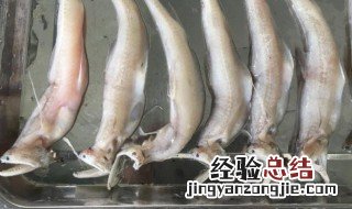 豆腐鱼可以冷冻保存吗多久 豆腐鱼可以冷冻保存吗