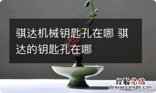 骐达机械钥匙孔在哪 骐达的钥匙孔在哪