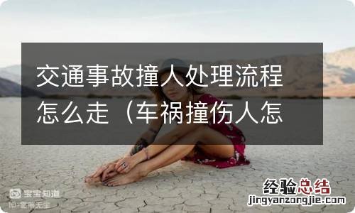 车祸撞伤人怎么处理流程 交通事故撞人处理流程怎么走