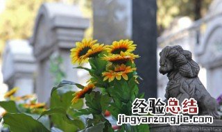 公墓选哪里好 公墓哪个好