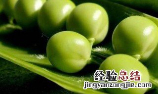 豌豆放冰箱冷冻一年还可以吃吗 豌豆可以放冰箱冷藏吗