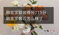 融金宝取名得分115分 融金宝最近怎么样了