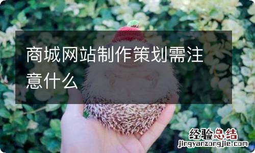 商城网站制作策划需注意什么