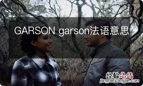 GARSON garson法语意思