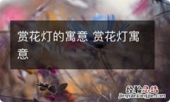 赏花灯的寓意 赏花灯寓意