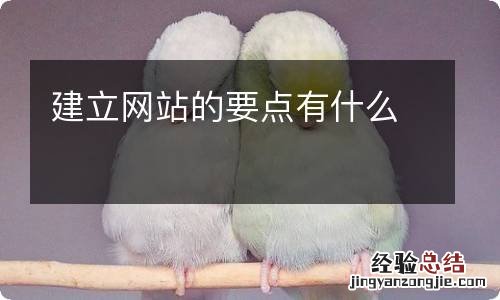 建立网站的要点有什么