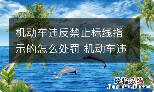 机动车违反禁止标线指示的怎么处罚 机动车违反禁止标线指示的行为