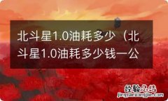 北斗星1.0油耗多少钱一公里 北斗星1.0油耗多少