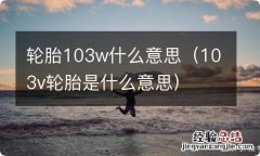 103v轮胎是什么意思 轮胎103w什么意思