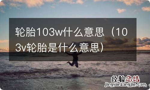 103v轮胎是什么意思 轮胎103w什么意思