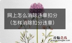 怎样消除扣分违章 网上怎么消除违章扣分