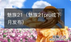 魅族21pro或下月发布 魅族21