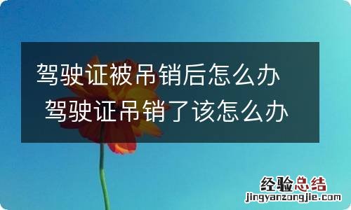 驾驶证被吊销后怎么办 驾驶证吊销了该怎么办