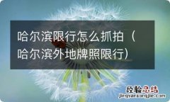 哈尔滨外地牌照限行 哈尔滨限行怎么抓拍