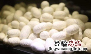 蚕茧的做法步骤 蚕茧的具体做法