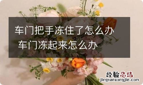 车门把手冻住了怎么办 车门冻起来怎么办