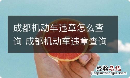 成都机动车违章怎么查询 成都机动车违章查询官方网站