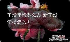 车没年检怎么办 新车没年检怎么办