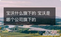 宝沃什么旗下的 宝沃是哪个公司旗下的