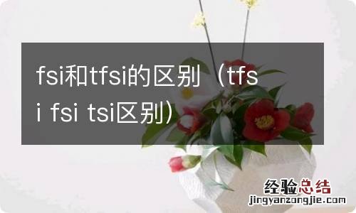 tfsi fsi tsi区别 fsi和tfsi的区别